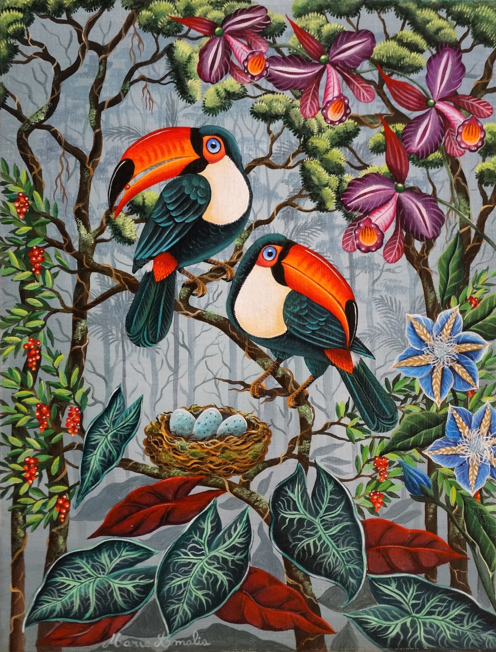 Le nid des toucans